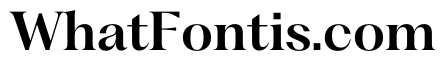 PPFragment SerifSemiBold Instance
