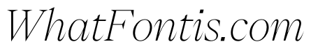 PPEikoItalic Thin Instance