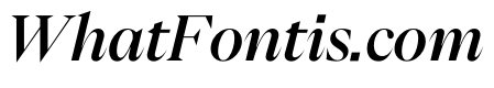 PPEikoItalic Medium Instance