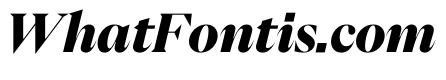 PPEikoItalic Black Instance