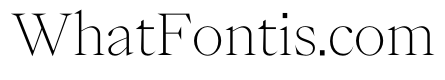 PPEiko Thin Instance