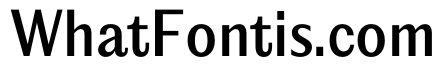 PPEditorialSans Medium Instance
