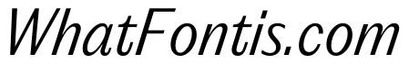 PPEditorialSans LightItalic Instance