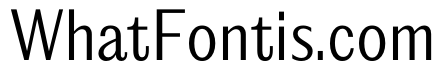 PPEditorialSans Light Instance