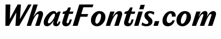 PPEditorialSans BoldItalic Instance