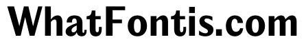 PPEditorialSans Bold Instance