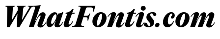 PPEditorialNew UltraboldItalic Instance