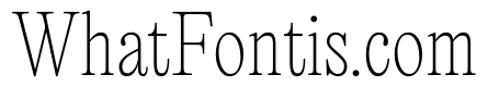 PPEditorialNew Thin Instance