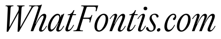 PPEditorialNew LightItalic Instance