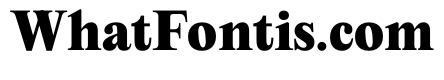 PPEditorialNew Heavy Instance
