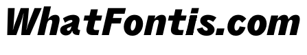 PPAir BlackItalic Instance