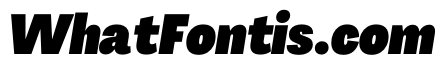 PPAgrandirTight BlackItalic Instance