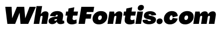 PPAgrandir BlackItalic Instance