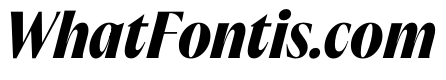 PPAcma BlackItalic Instance