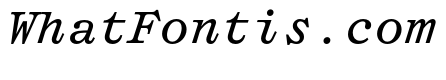 Syncro MonoItalic