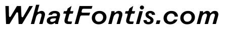 Rauschen B Medium Italic Regular Webfont 329633fd