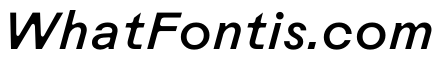 Rauschen B Book Italic Regular Webfont