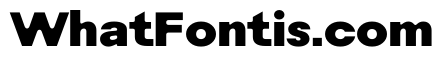 Rauschen B Black Regular Webfont