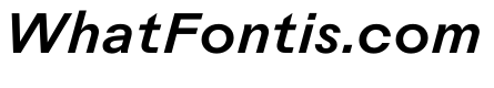 Rauschen A Medium Italic Regular Webfont 16decf7b