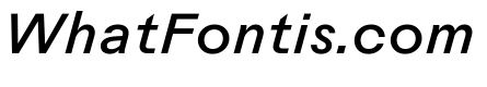 Rauschen A Book Italic Regular Webfont 2dd49527