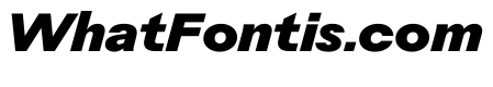 Rauschen A Black Italic Regular Webfont