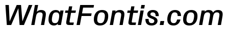 Protokoll MediumItalic