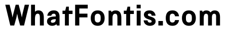 Copy Bold