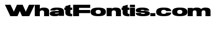 OPSFacitype Regular