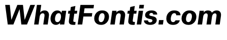 Haltung Web BoldItalic