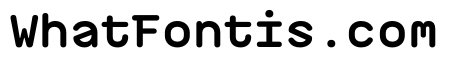 PlasticSimple Bold