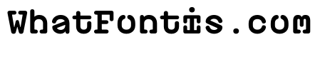 PlasticChain PlasticVAR Bold Chain Instance