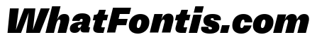 NNSwintonSTD HeavyItalic