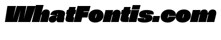 NNSwintonSTD ExtraBlackItalic