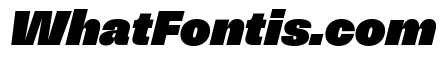 NNSwintonSTD BlackItalic