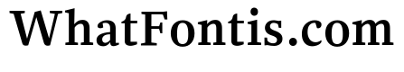 NN Rekja Bold Webfont