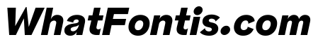 NNPivotGroteskSTD HeavyItalic