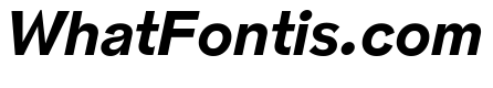 NNPivotGroteskSTD BoldItalic