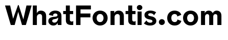 NNPivotGroteskSTD Bold