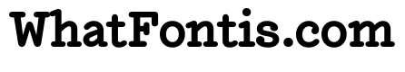 NNEditeurSerifSTD Bold