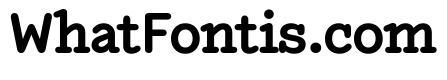 NNEditeurSemiSTD Bold