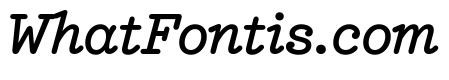 NNEditeurItalicSTD Medium