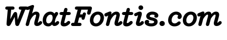 NNEditeurItalicSTD Bold