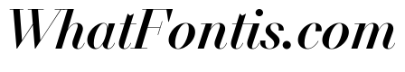NNDidotModern STD MediumItalic