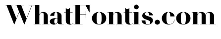 NNDidotModern STD Bold