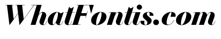 NN DidotModern STD BlackItalic