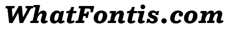 NNColroySTD HeavyItalic