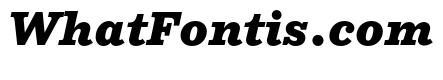 NNColroySTD BlackItalic