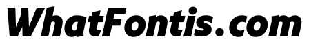 NNArosaSTD BlackItalic