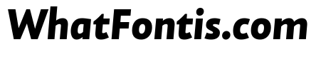 NNAlenaSTD BlackItalic