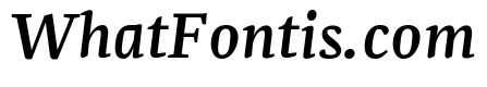 NN Rekja Bold Italic Webfont